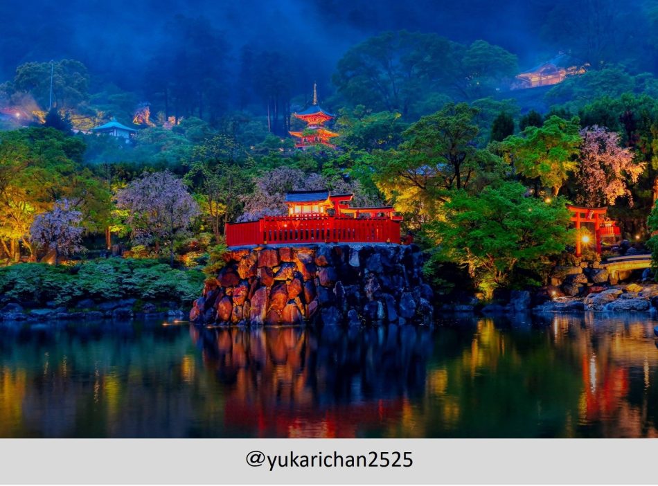 大阪府箕面市『勝尾寺』が新緑期初のライトアップ！　ーー大阪府箕面市に８万坪の境内を持つ、勝運の寺『勝尾寺』が、新緑期間では初となる夜間特別ライトアップを初開催！ーー | 勝尾寺のプレスリリース