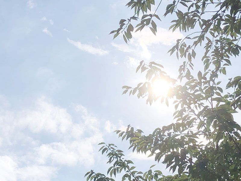 無償提供！大阪・関西万博の入場チケット、埼玉の高校生に　埼玉りそな銀行が発表　修学旅行や部活動など団体利用でぜひ　1万4千枚を配布予定、申し込み受付いつまで|47NEWS（よんななニュース）