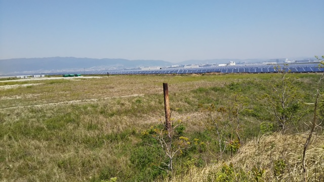 大阪万博建設工事での爆発事故でガス濃度測定せず　子ども動員への反対広まる ｜ 週刊金曜日オンライン