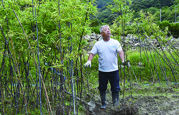 関西万博 黒竹を守る会と道成寺が和歌山ゾーンでプレゼン - 日高新報