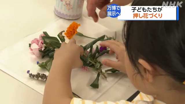 大阪・関西万博に向けて子どもたちが押し花作り 和歌山｜NHK 関西のニュース