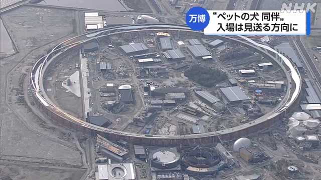 ペットの同伴入場見送りへ 理事会の議論受け 大阪・関西万博|NHK 関西のニュース