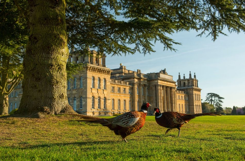 英国政府観光庁会長が2025年大阪・関西万博に向けて来日、英国の観光魅力をアピール | 英国政府観光庁のプレスリリース