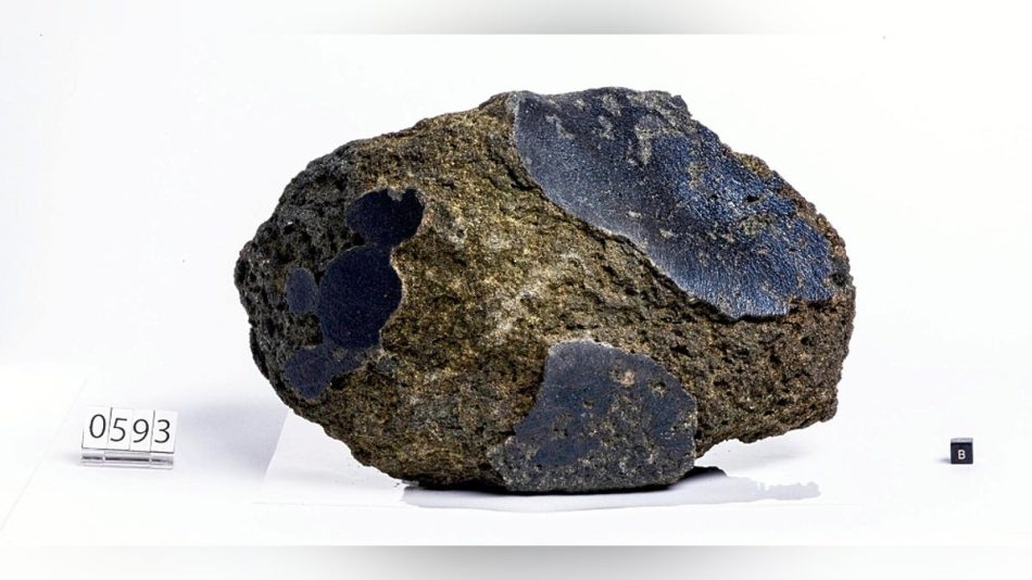 世界最大級の「火星の石」、大阪万博で初の一般公開へ…日本の観測隊が南極・昭和基地近くで採取 : 読売新聞