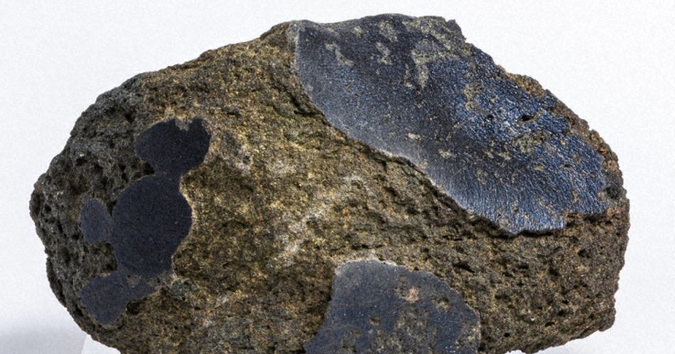 ２５年大阪・関西万博：万博に「火星の石」　南極で発見、初公開へ | 毎日新聞