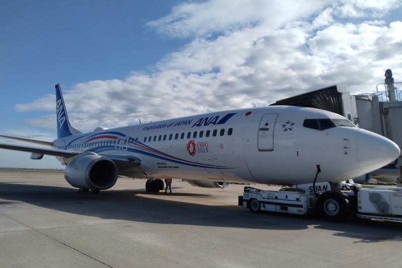 万博機運を醸成…ANAが就航、特別塗装機のデザイン｜ニュースイッチ by 日刊工業新聞社