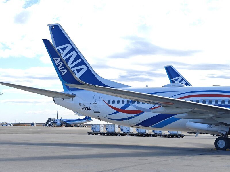 万博の特別デザイン機「EXPO2025 ANA JET」が就航。初便搭乗者にプレゼントされた意外なモノ（テクノエッジ） - Yahoo!ニュース