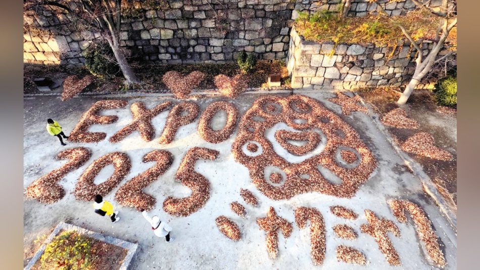 大阪城公園で落ち葉アート、「ミャクミャク」が登場：地域ニュース : 読売新聞