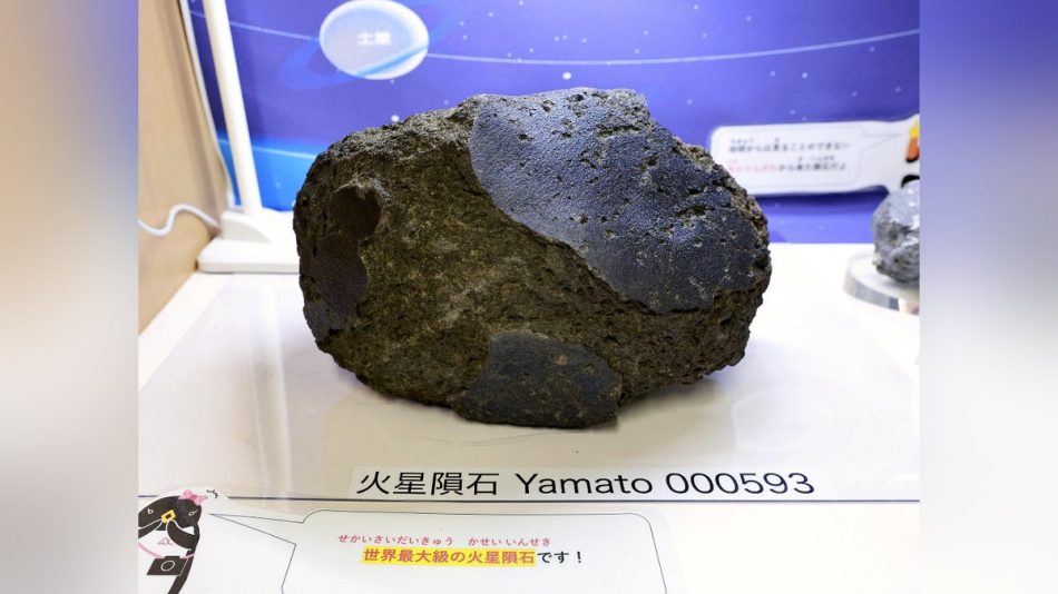 「火星の石」は万博「日本館」で展示、南極・昭和基地近くで採取…「はやぶさ」が持ち帰った小惑星の砂も : 読売新聞
