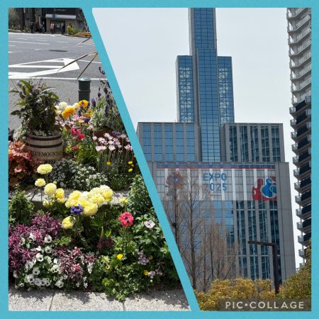 大阪・関西万博テストラン : ブログ : 泉南市議会議員 中田よしこ　