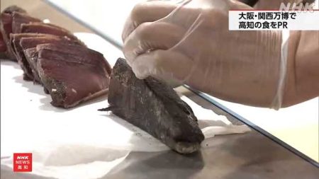 大阪・関西万博でカツオのタタキなど高知の食をＰＲ｜NHK 高知県のニュース