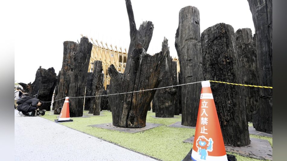 大阪・関西万博会場の「文明の森」、立ち入り禁止に…「樹が倒れる恐れ」とＳＮＳなどで懸念 : 読売新聞