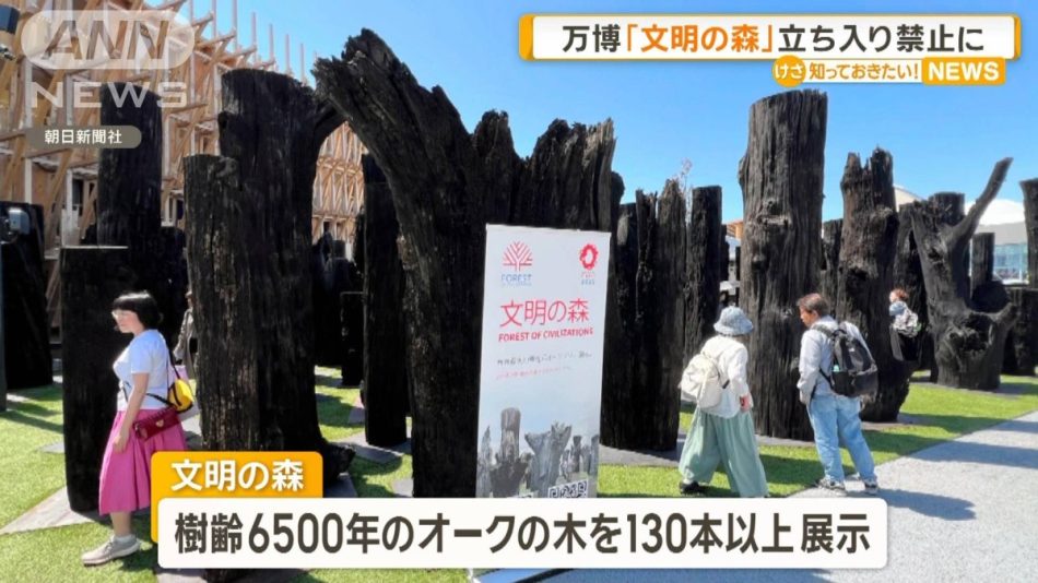 大阪・関西万博「文明の森」　立ち入り禁止に