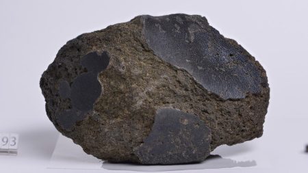 大阪・関西万博で輝く宇宙からの使者：南極で見つかった「火星の石」 | nippon.com