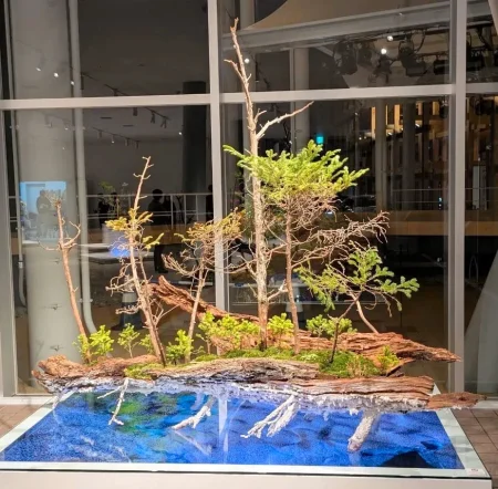 根室の自然美、生け花に昇華　大阪・関西万博で展示：北海道新聞デジタル