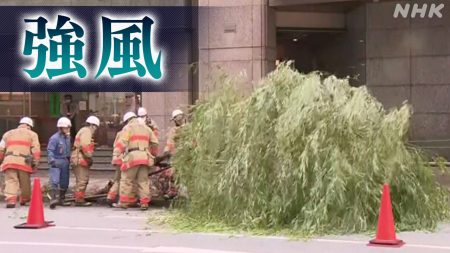 強風影響 各地で相次ぐ 日本橋で街路樹倒れ 京都でカヌー転覆 | NHK | 気象