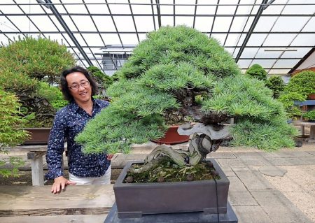 55年前の大阪万博で展示の盆栽、再び万博を彩る　小布施町の作家が世話　樹齢400年以上も｜信濃毎日新聞デジタル　信州・長野県のニュースサイト