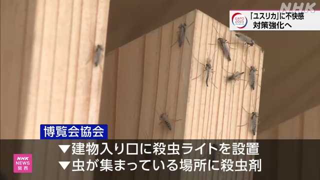 大阪・関西万博 会場のユスリカの群れに不快感 対策強化へ|NHK 関西のニュース