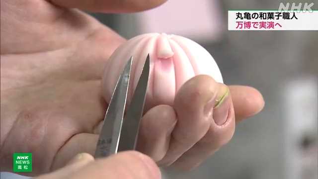香川 丸亀の和菓子職人 大阪・関西万博で和菓子作り実演へ｜NHK 香川県のニュース