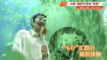 「茶葉」になりきる体験！？大阪・関西万博で52の自治体が魅力をPR！「園芸王国・土佐」は花の紹介も « 高知のニュース - 高知さんさんテレビ