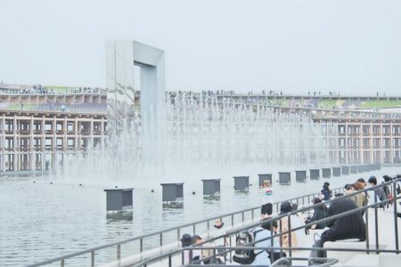 大阪万博で大量発生中のユスリカ対策、実は殺虫剤より効果的な小魚 1950年代に八丈小島で奇病「バク」を根絶したそのパワー(1/3) | JBpress (ジェイビープレス)
