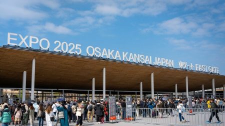大阪･関西万博の虫の大量発生は4年前から分かっていた!　｢恐ろしいほどの数のユスリカが…｣公聴会で指摘 ぶーん､ぶーんとすさまじい羽音が耳元で聞こえる | PRESIDENT Online（プレジデントオンライン）