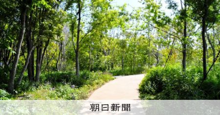変数が計算し尽くされた森　万博会場にもたらす涼 [大阪府] [大阪・関西万博2025][リング][ミャクミャク][ユスリカ]：朝日新聞