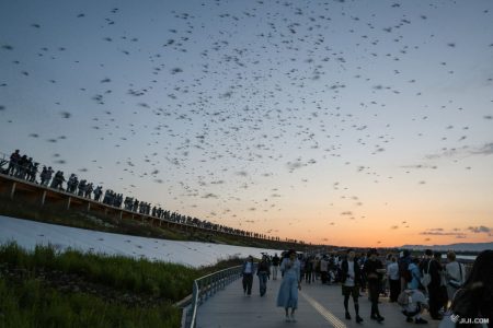 羽虫大量発生、歯止めかからず　「ユスリカ」対策急ぐ―大阪・関西万博：時事ドットコム