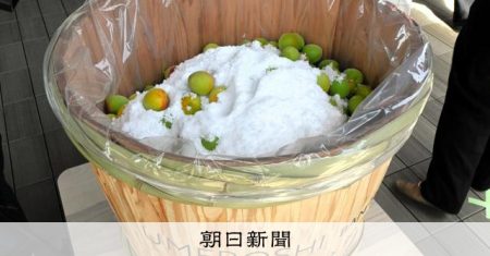 25年後に食べる梅干し、万博で漬ける　日時と場所も25年後発表？ [大阪・関西万博2025][リング][ミャクミャク][ユスリカ]：朝日新聞