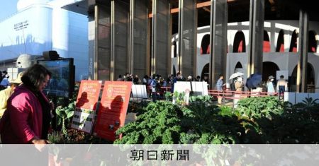 万博イタリア館前で目を引くイタリア野菜　つくったのは日本の町 [岡山県] [大阪・関西万博2025][リング][ミャクミャク][ユスリカ]：朝日新聞