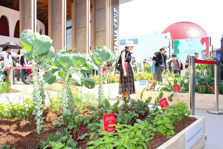 万博イタリア館の前に“畑”出現　矢掛町で育てた野菜 伊政府が依頼：山陽新聞デジタル｜さんデジ