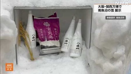 大阪・関西万博 南魚沼の雪でつくった「雪室」を展示｜NHK 新潟県のニュース