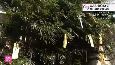 万博会場でも七夕 ＵＡＥ館ではヤシの木に飾りつけ｜NHK 関西のニュース