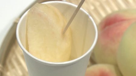 岡山市が大阪・関西万博で旬の「白桃」など食の魅力をPR　1日200食限定で試食も　7月29日まで開催【岡山】 | 岡山・香川のニュース | 天気 | RSK山陽放送 (1ページ)