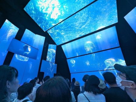 お得に賢く巡る！ 旅育のプロが「大阪・関西万博」のおすすめパビリオン＆過ごし方を徹底解説（All About） - Yahoo!ニュース