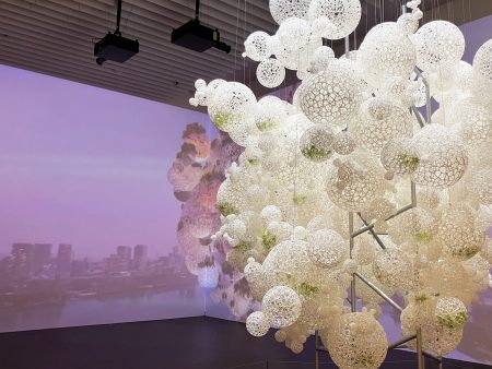 杉江あこ｜藤本壮介の建築：原初・未来・森 – artscape