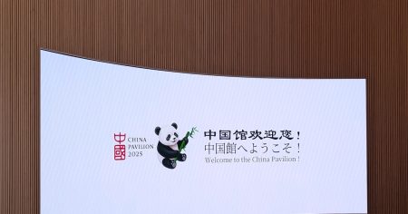 【パンダマニア必見】大阪・関西万博「中国パビリオン」で出会える“意外と多い”パンダたちの魅力を徹底レポート（二木 繁美） - 2ページ目 | ＋αオンライン | 講談社