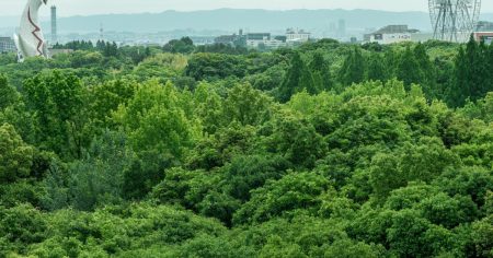 1970年大阪万博の跡地で育つ森　カメラで見つめた自然再興 - 日本経済新聞