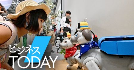 ソニーaibo万博で進化形　家事お手伝い、目指せペットロボのナンバーワン - 日本経済新聞