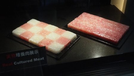 万博で展示される培養肉とは？　3Dプリンタで牛ステーキ肉を作る理由：3Dプリンタの可能性を探る（1/3 ページ） - MONOist