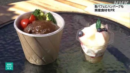 大阪・関西万博 梨や和牛など 鳥取の食材使ったメニュー販売｜NHK 鳥取県のニュース