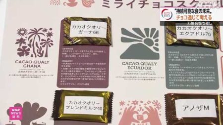 チョコレート通じ持続可能な食の未来考える 大阪・関西万博｜NHK 関西のニュース