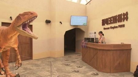 大阪・関西万博で展示のフクイラプトル実物大模型や大型VRがおおい町へ　閉幕後「福井県こども家族館」に移設｜FNNプライムオンライン