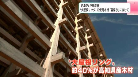 約40％が高知県産材　大阪・関西万博の象徴“大屋根リング”の使用木材「里帰り」に向けて　 | 高知のニュース・天気｜KUTV NEWS | KUTVテレビ高知 (1ページ)