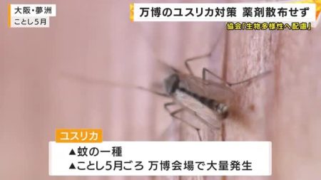 【速報】万博会場の「ユスリカ」会期末に再び大量発生か　博覧会協会「薬剤散布は行わない」 | 関西のニュース | ニュース | 関西テレビ放送 カンテレ
