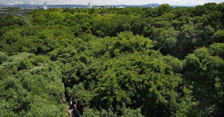 【動画】1970年大阪万博が遺したもの　人がつくった「奇跡の森」に太陽の塔、「みんぱく」も - 産経ニュース