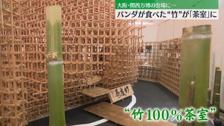 パンダの餌だった竹…「茶室」に　大阪・関西万博で展示（2025年9月21日掲載）｜日テレNEWS NNN