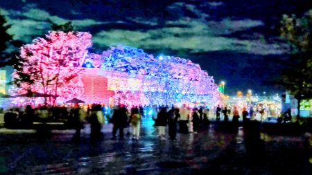 大阪・関西万博 一般入場者数の累計2000万人突破！平日も20万人超え、全日程で来場予約埋まる | ラジトピ ラジオ関西トピックス