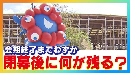 閉幕迫る大阪・関西万博　目玉の一つである建造物・パビリオンの”その後”　遺産＝レガシーとして残されるものは？ | 特集 | MBSニュース