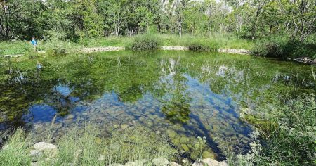 大混雑の万博会場で「静けさの森」はやっぱり静かだった　鳥がさえずる万博の〝へそ〟 - 産経ニュース